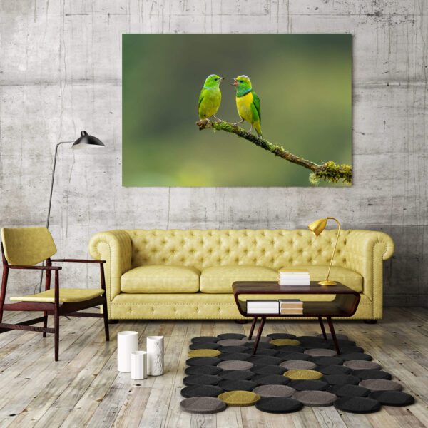 A view of a living room with a beautiful photo of birds on the wall