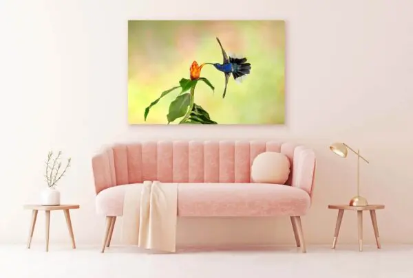 A Glorious Display perched on a flower in front of a pink couch.