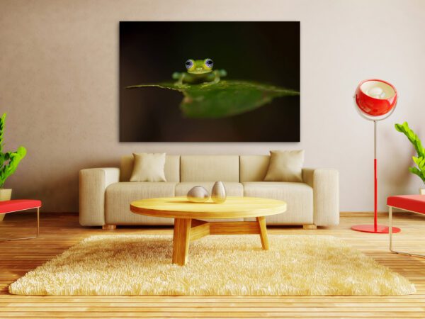 A Late-Night Partier on a leaf in a living room.