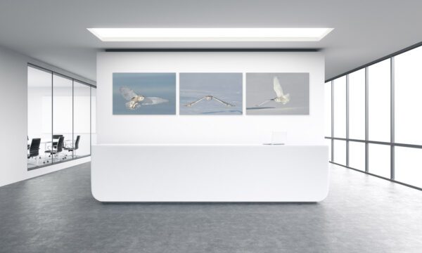A white reception desk with three pictures of The Mystical Flight on the wall.