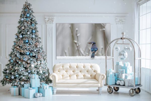 A living room with a blue bird and a Winter Treat.