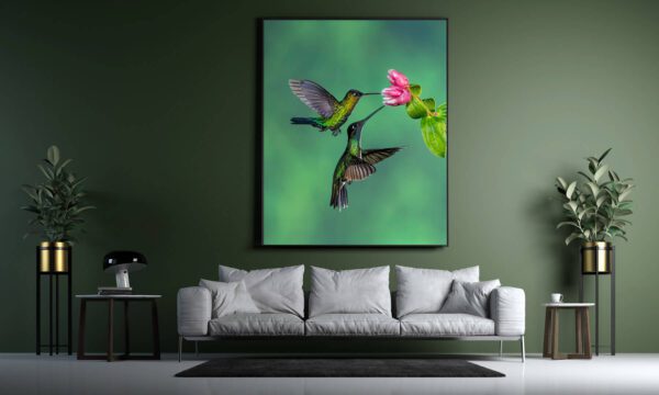 A view of a living room with a photo of birds on the wall