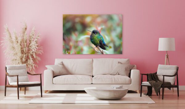 A hummingbird perched on a Garden Gem in a living room.