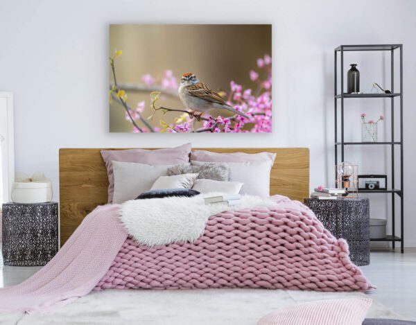 A pink and white Here's to Looking at You bedroom with a bird on a branch above the bed.