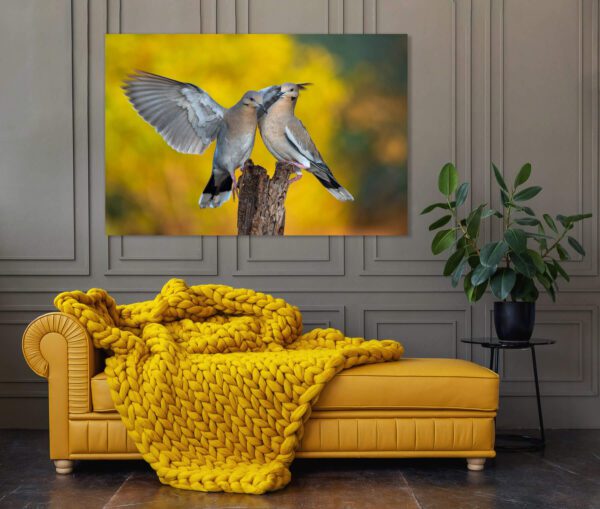 Two Lovey Doveys perched on a branch in front of a yellow blanket.