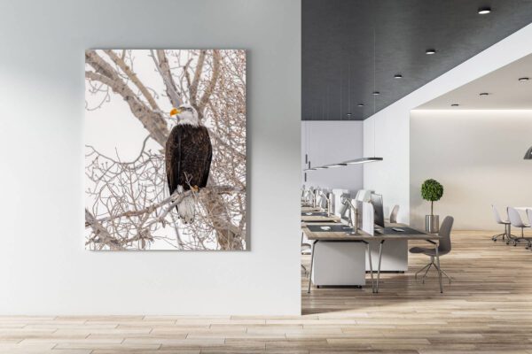A Majestic Eagle perched on a branch in an office.