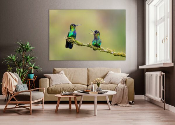 Two hummingbirds perched on a branch reading the News of the Day in a living room.