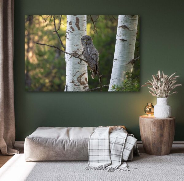 A gray owl perched on the On the Forest's Edge in a living room.