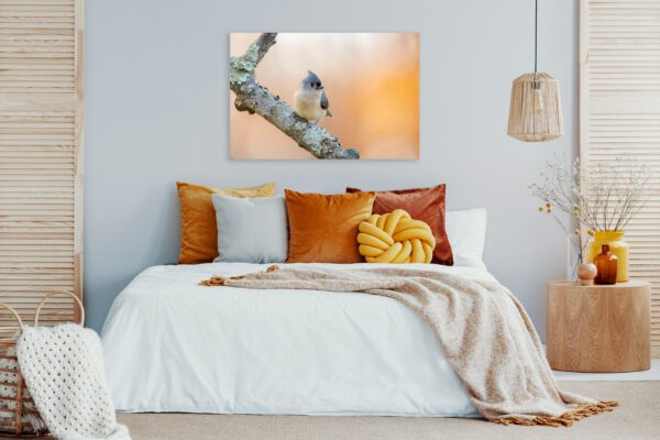 A Peach Delight in a bedroom with a bird sitting on a branch.