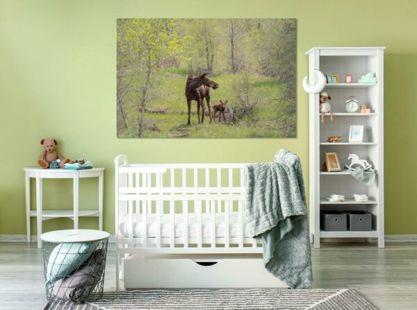 A baby's room with The Newborn in the background.