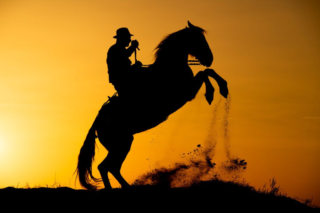 Silhouette of a Cowboy at Heart riding a horse at sunset.