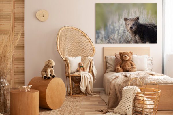 A child's bedroom with Felicia’s Cubs and a picture of a grizzly bear.