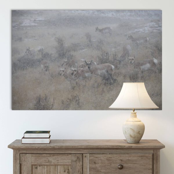 Pronghorns in a Blizzard - canvas wall art.