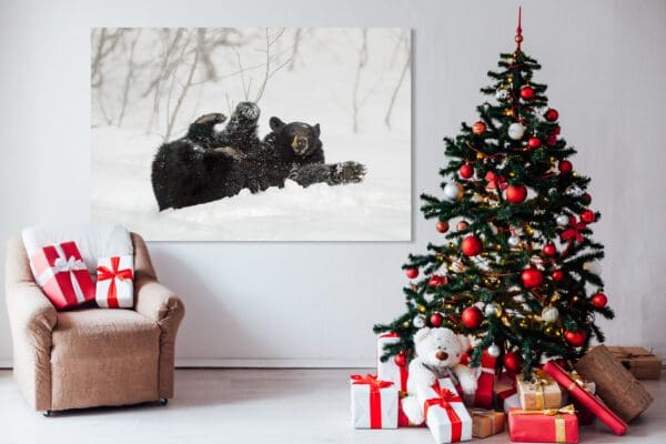 Two black bears playing Rolling in the Snow in front of a christmas tree.